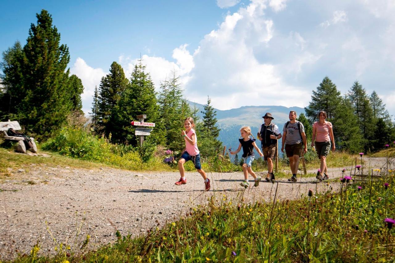 Naturpark Huette Mandl, Biobauernhof & Huettenurlaub ซังคท์ลัมเบร็คท์ ภายนอก รูปภาพ